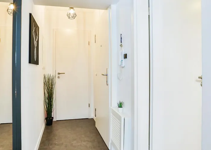 Studio Hirsch56 - Zentral-Ruhig-Terrasse-Netflix