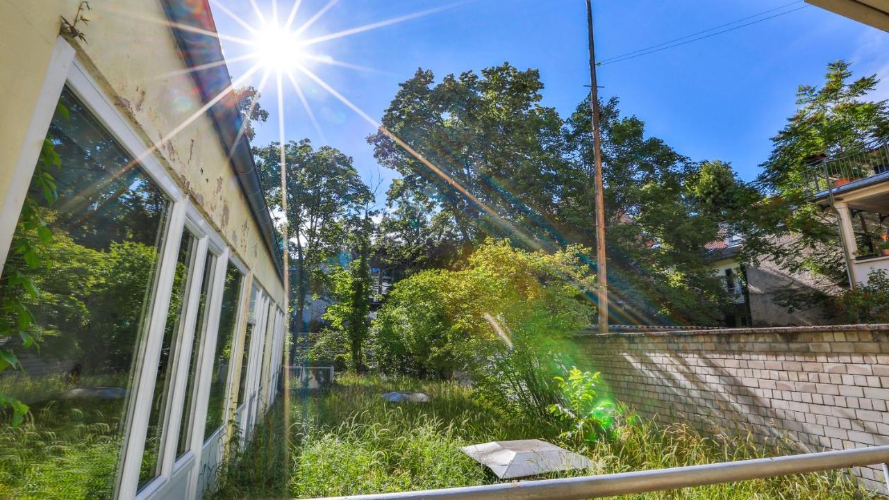 Apartment Hirsch56 - Zentral-ruhig-terrasse-netflix